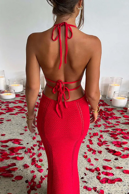 Jalene | Sexy Backless Halter Long Dress
