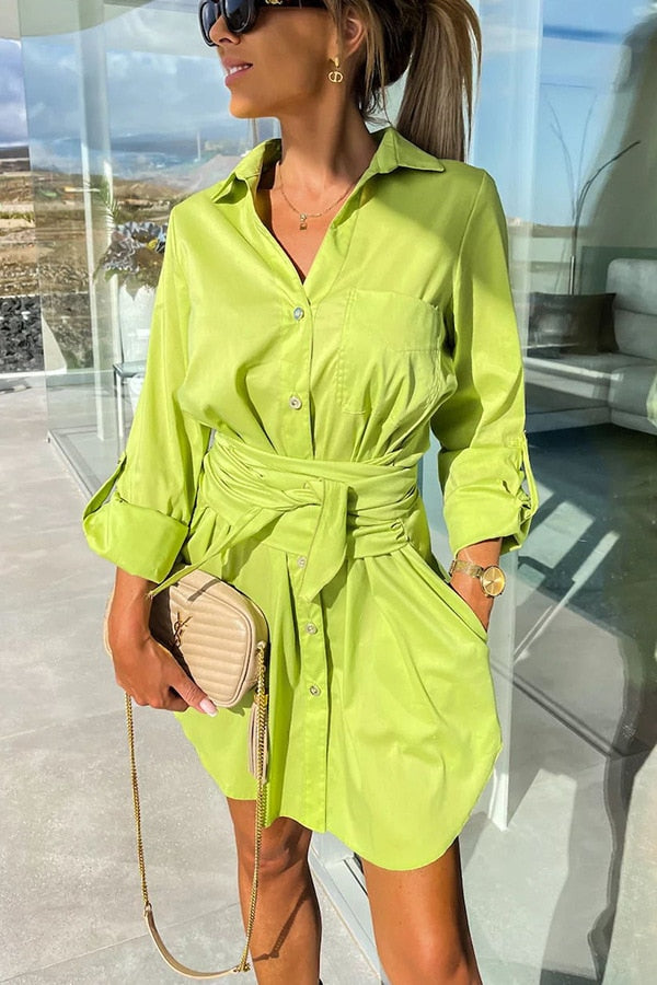LP | Charming Blouse Dress