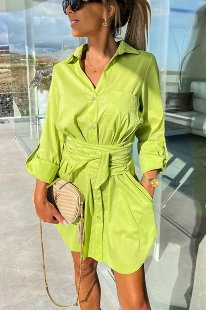 LP | Charming Blouse Dress