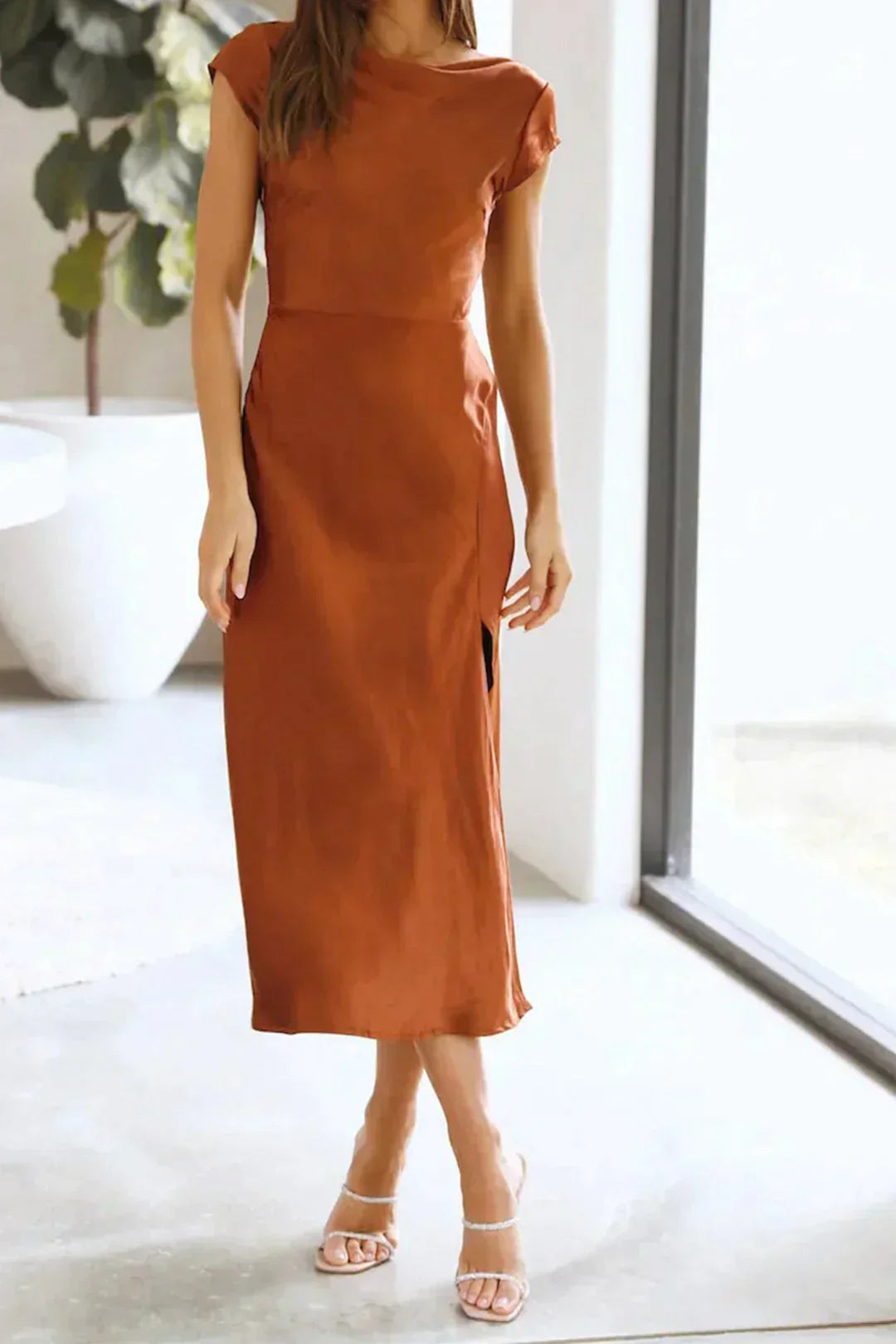 LP | Elegant Swallow Dress